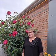 �����, 65 ���, �����