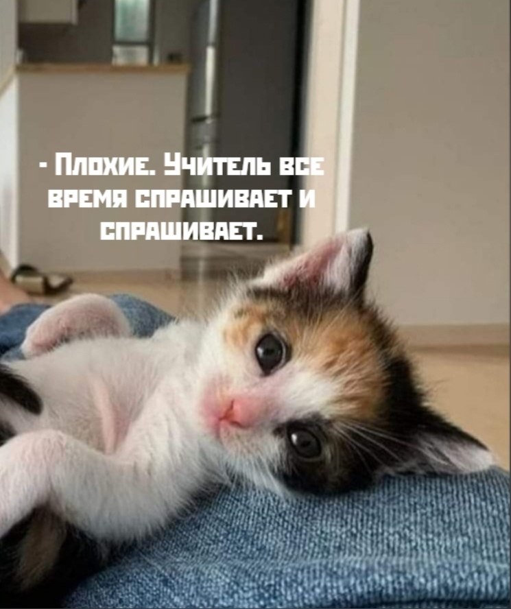 ��� ���� � ����� �� �� - 3 ������ 2026 � 12:00 - 2
