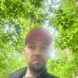 , 40, 