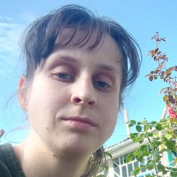 , , 28 