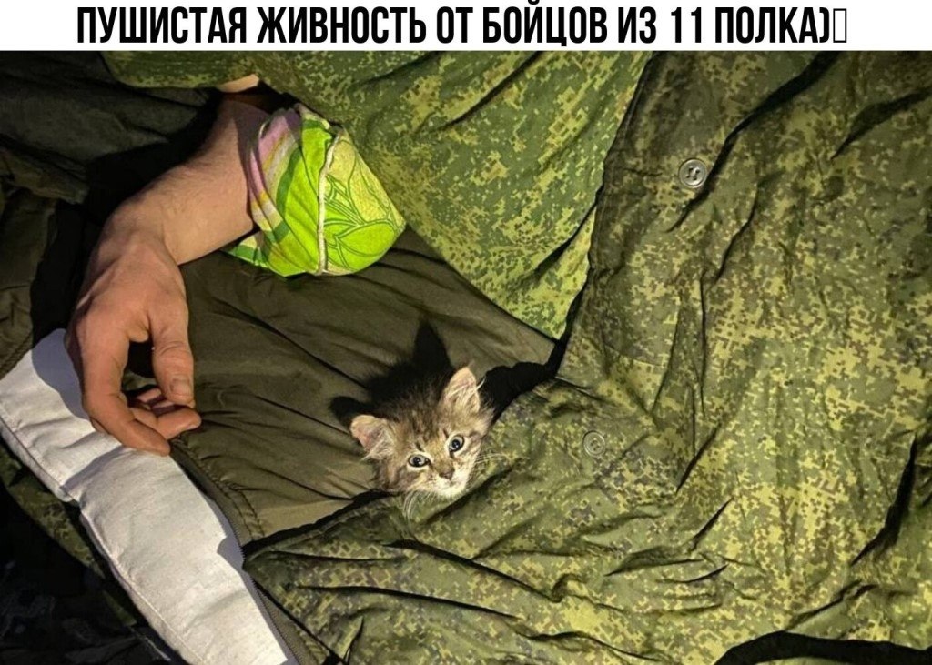   - 22  2023  17:06