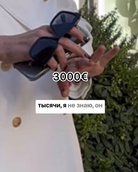     ,  -   11  .  ,   ... - 2