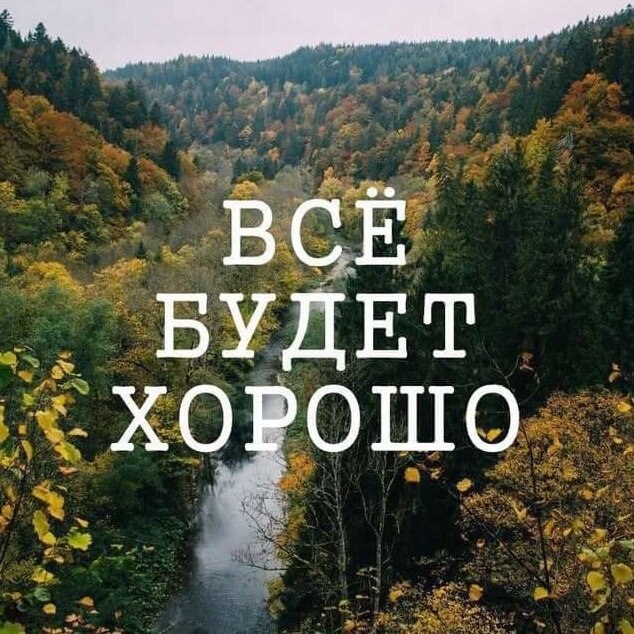   ,    . - 25  2025  14:39