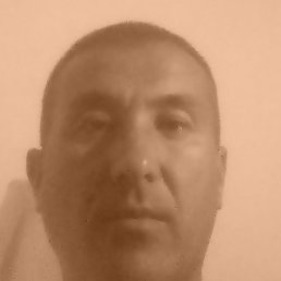 �����, �����-���������, 43 ����