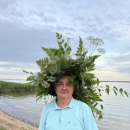 , 55, 