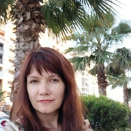  , 41, 