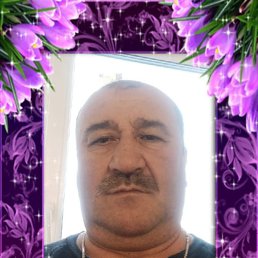, 56, 