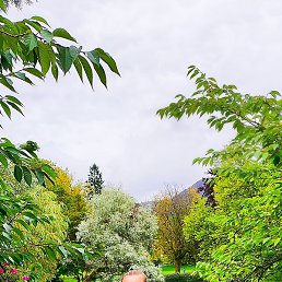 ������, ��������, 36 ���