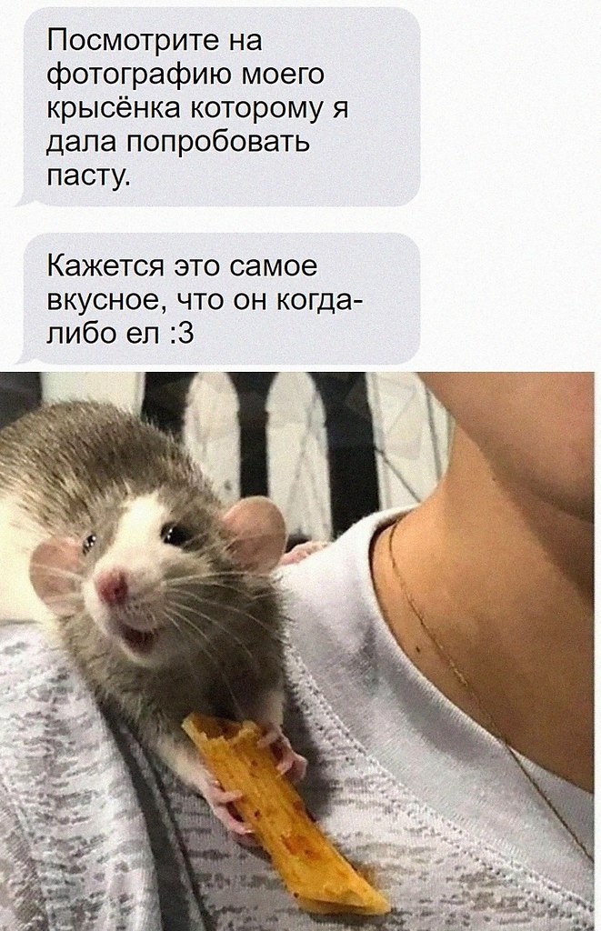    - 26  2025  08:21