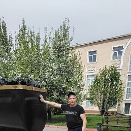 ������, ����, 39 ���