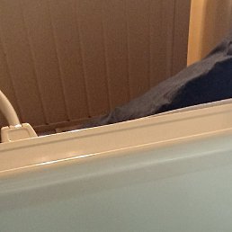 ������, ������, 46 ���