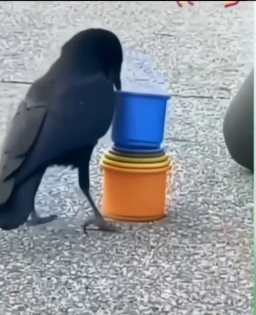   - !