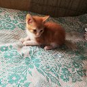 ���� �����, �����-��������� - ��������� 13 ������ 2025 � ������ ������ ��������