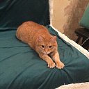 ���� �����, ��������, 96 ��� - ��������� 15 ������ 2023 � ������ ���� ����������