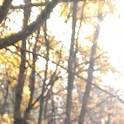 , 33 , -