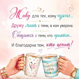 ���� �������, �������, 48 ��� - ��������� 24 ���� 2026