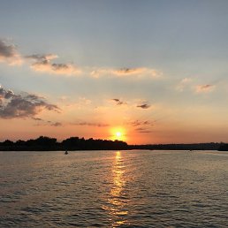 �������, �����, 43 ����