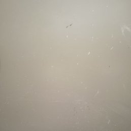 ���������, ������������, 33 ����