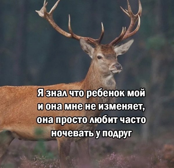     - 2