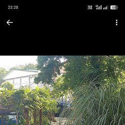 ���������, ����, 54 ����