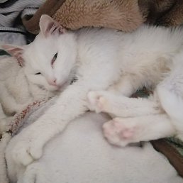 ����, ������, 25 ���