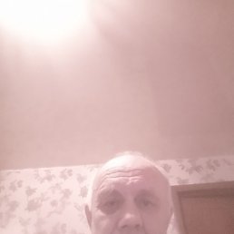 , , 65 