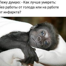 , , 54 