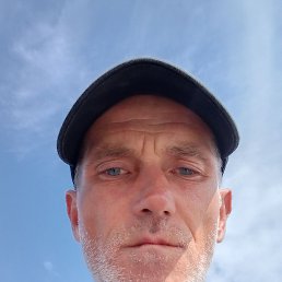 , 29, 