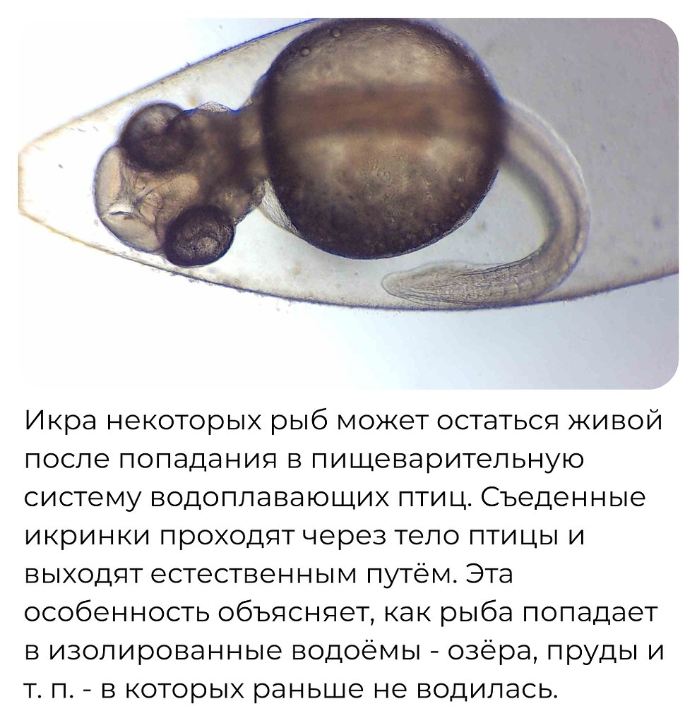 Discovery - 23 ������ 2026 � 15:54