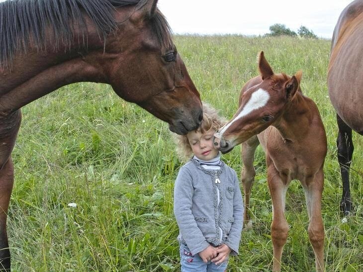  ! ,     ? ,    ? -   ... - 2