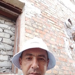 , 36, 