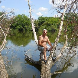 ������., ������, 52 ����