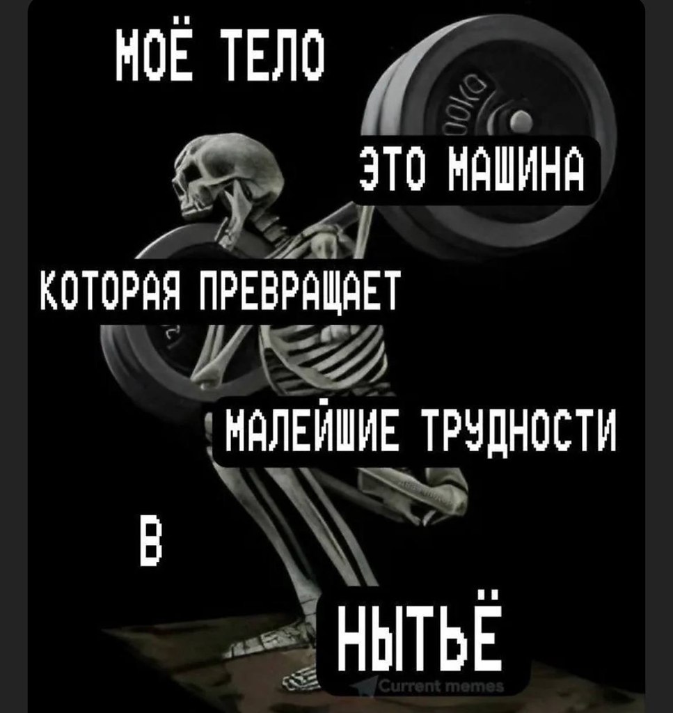 IT       ,   ,     .  ...