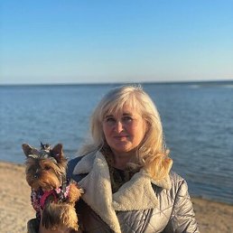 �������, ���������, 55 ���