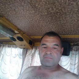, 56 , 