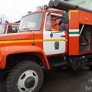 ����, 49 ���, ������