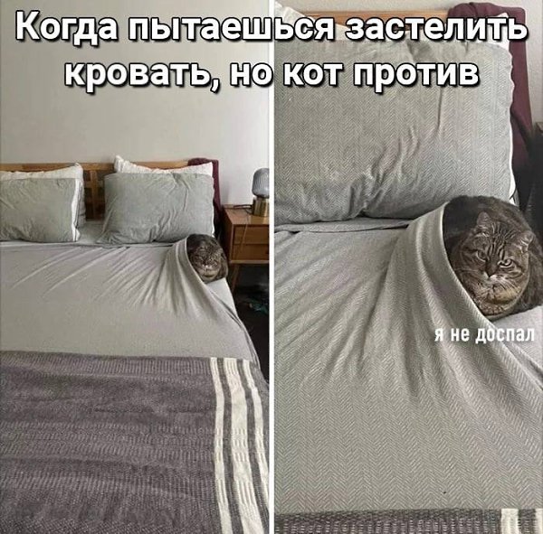    - 9  2024  23:15