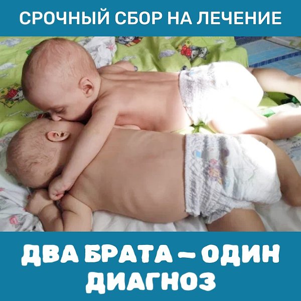 ������� ������� �������-��������� ���� �������. ����� �� ������� �����. ��� ������������ �����: ...