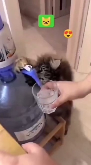      - 2