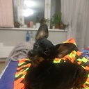 ���� ����, ������, 26 ��� - ��������� 25 ������� 2023 � ������ ���� ����������