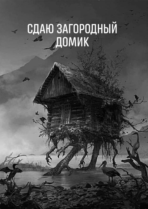 - 24  2025  16:54