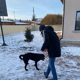 ����, ���������, 31 ���