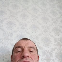 �����, ����, 46 ���