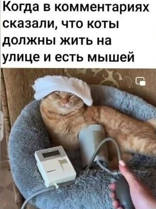   ! - 22  2025  11:55