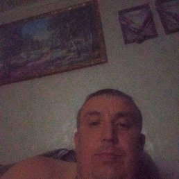 , 37, 