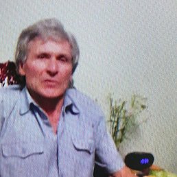 ���� �������, ���������, 69 ��� - ��������� 4 ��� 2024