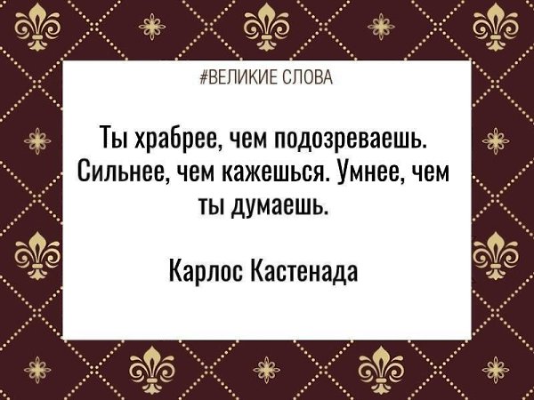   | ,    - 13  2025  20:01