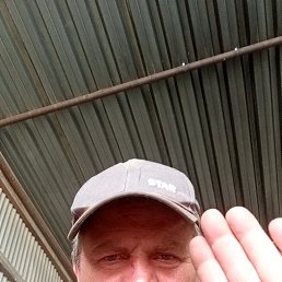 ����, 49 ���, ����