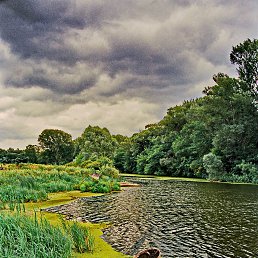 ���� ������, ������, 85 ��� - ��������� 3 ������ 2023