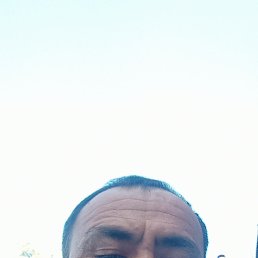 , 45, 